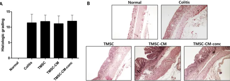 Fig 7. Histopathological alteration. (A) Histologic colitis scoring did not show significant difference between each of groups