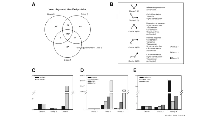 Fig. 4 The hPDSC injection following point of time on a radiation-induced small intestinal damage model