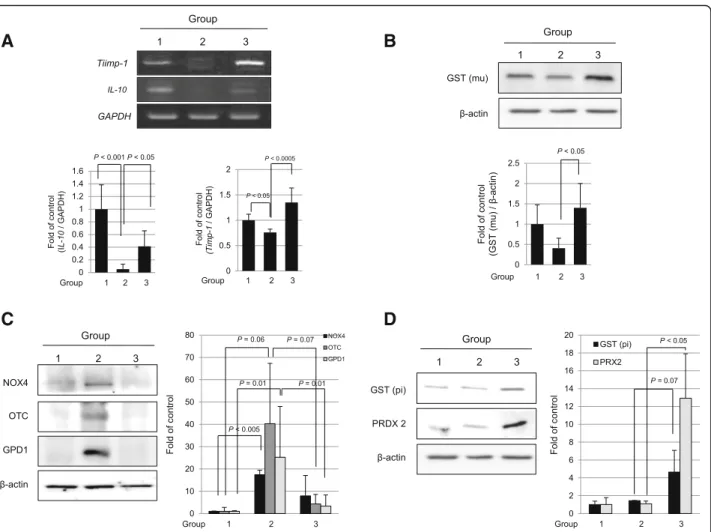 Fig. 6 Validation of identified target from proteomics analysis. a The expressions of IL-10 and TIMP1 were investigated by RT-PCR