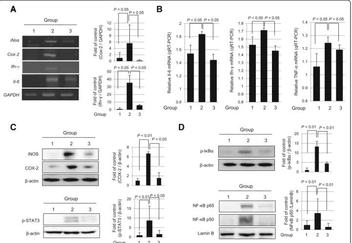 Fig. 2 hPDSCs inhibit the expression of inflammation-associated factors in irradiated intestine