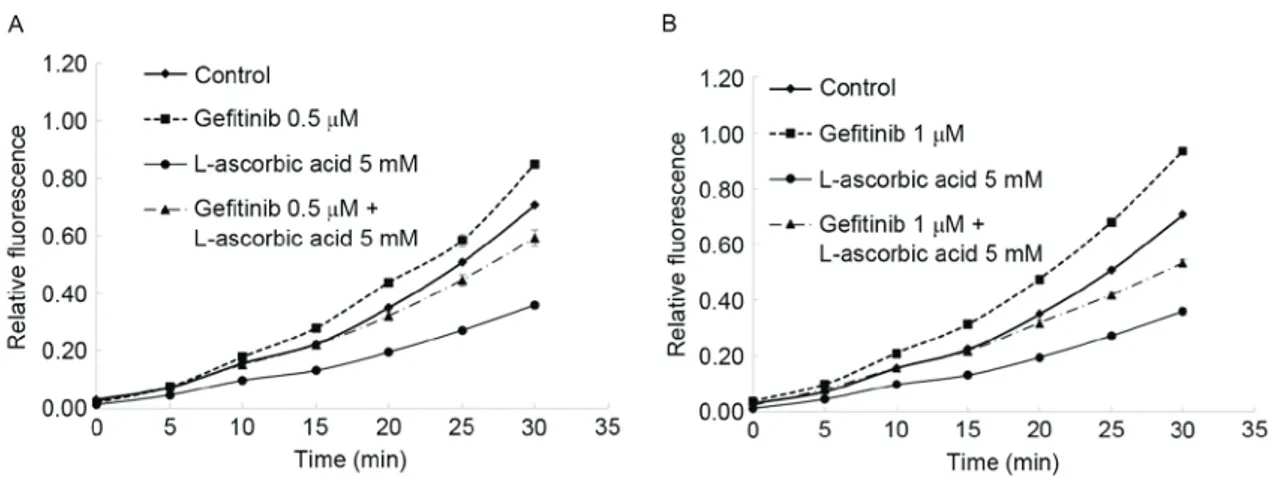 Figure 4. Immunoblotting analysis of gefitinib and/or L‑ascorbic acid therapy in cancer cell lines