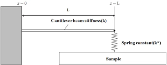 Fig. 1 Schematic diagram of a rectangular cantilever in contact with a sample surface