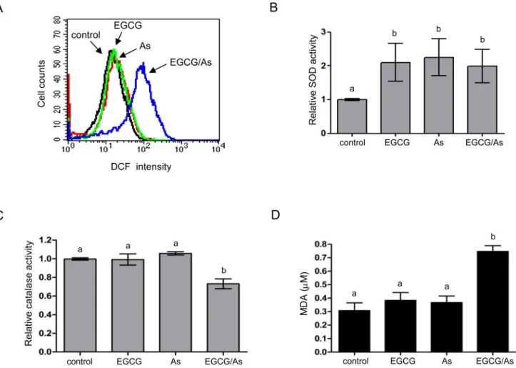 Fig 2. Combined EGCG/As treatment increases ROS generation and decreases the activity of catalase but not SOD