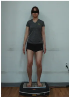 Fig. 2. PNF patterns combined with Whole Body Vibration, PWBV using the gym stick.