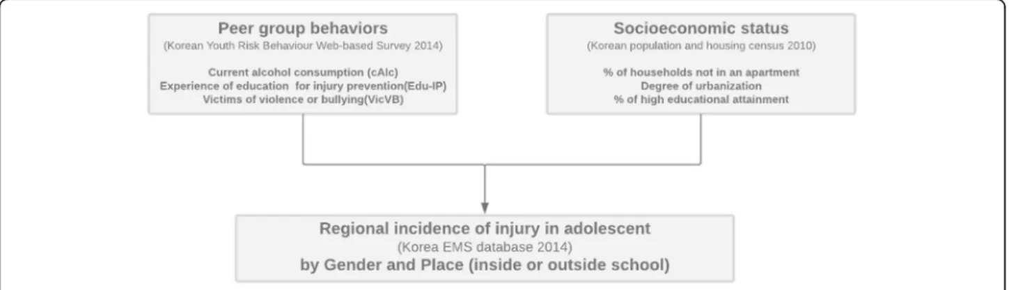 Fig. 1 Ecological approach to the adolescent injury