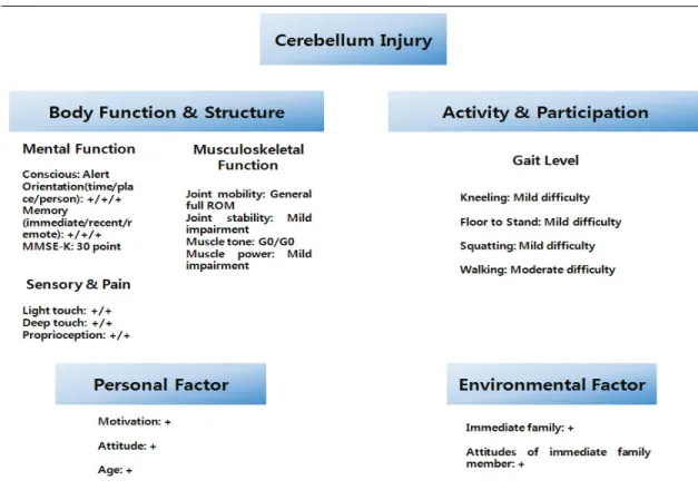Fig. 1. The rehabilitation problem-solving form (RPS-Form) applied to a patient with cerebellum atrophy.