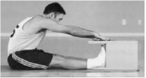 Fig. 2. Sit-and-reach test.