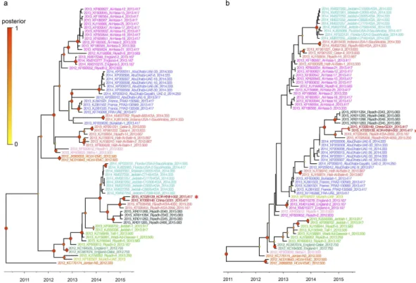 Figure 2.  Phylogenetic relationships of MERS-CoV S and N sequences. The S (a) and N (b) sequences of 70 