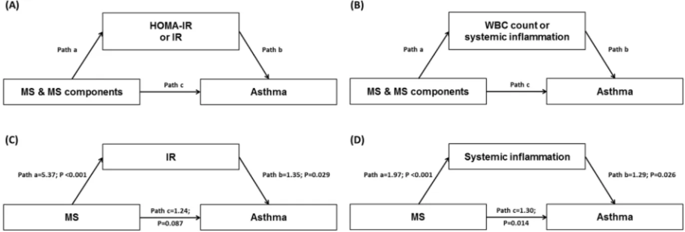 Figure 2.  Mediation models of (A) HOMA-IR or IR and (B) WBC count or systemic inflammation in the 