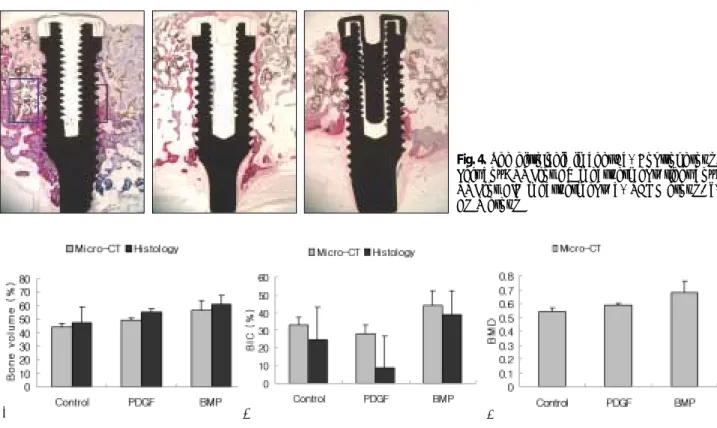 Fig. 4. The histologic images. a) Control group, Left box: ROI for BV measuerment, right box: