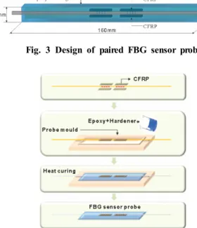 Fig. 3 Design of paired FBG sensor probe
