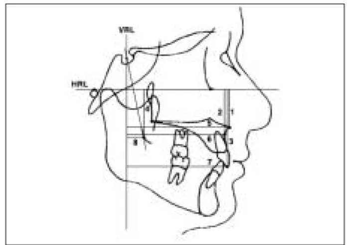 Fig. 2. Reference points