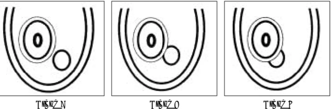 Fig. 5. Buccolingual positional relationship between the mandibular canal and root.