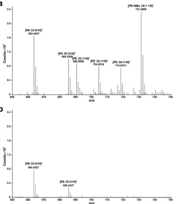 Figure 5.  The results of LC-MS. LC-MS spectra of lipid extraction solutions from (a) mTnfaip8 and (b) the  mTnfaip8 triple mutant.