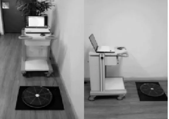 Fig. 1. Balance equipment
