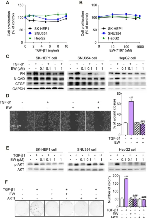 Figure 2.  Suppression of TGF-β-Induced EMT and Akt Signaling In Vitro by TGF-β Blockade