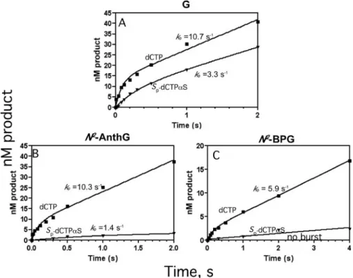 FIGURE 4. Phosphorothioate analysis of pre-steady-state kinetics of nucleotide incorporation by human