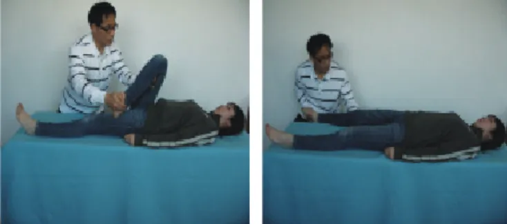 Fig. 2. Lower Extremity Extension Pattern 