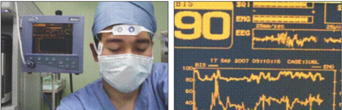 Fig. 2. Conscious sedation record
