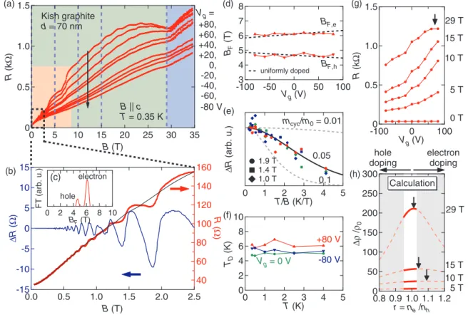 FIG. 2. (a) In-plane resistance R of 70-nm-thick graphite as a function of out-of-plane magnetic field B at T = 0.35 K for gate voltages V g = +80, +60, +40, +20, 0, −20, −40, −60, and −80 V, from top to bottom