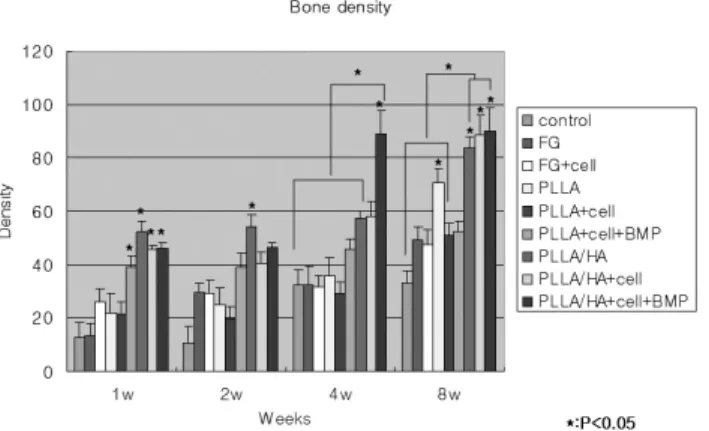 Fig. 5. Result of bone density analysis.