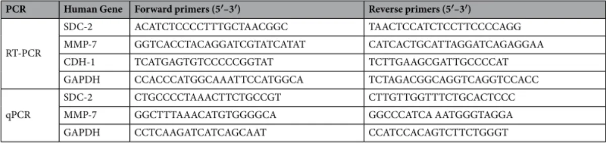 Table 1.  Primer sequences used in the PCR.