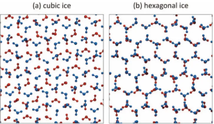 FIG. 4. Two layers in cubic and hexagonal ice, viewed in the (111) direction of cubic ice and in the direction perpendicular to the basal face of  hexago-nal ice