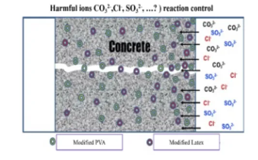 Fig.  9.  A  Diagram  of  diffusion  of  harmful  ions  to  hardened  cement  materials