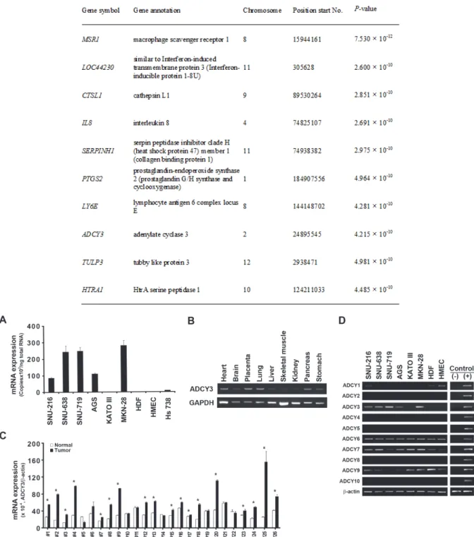 Figure 1: ADCY3 mRNA expression levels in gastric cancer cells and tissues.  (A) Absolute quantification of ADCY3 mRNA  in gastric cancer cells (SNU-216, SNU-638, SNU-719, AGS, KATOIII, MKN28) and normal human cells (HDF, HMEC, Hs738)