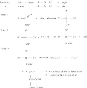 Fig. 3. Mechanism of base-catalyzed transesterification. 