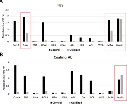 Figure 2. The effect of oxidation on the coating antibody and blocking agent. Immunoplates (96 wells) were coated with (A) FBS or (B) the anti-CA15-3  monoclonal antibody and incubated with oxidation buffer (oxidation) or TBS-T (control)