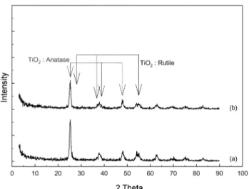 Fig. 3. Specific surface area and average pore size of the 5 wt% Pt/