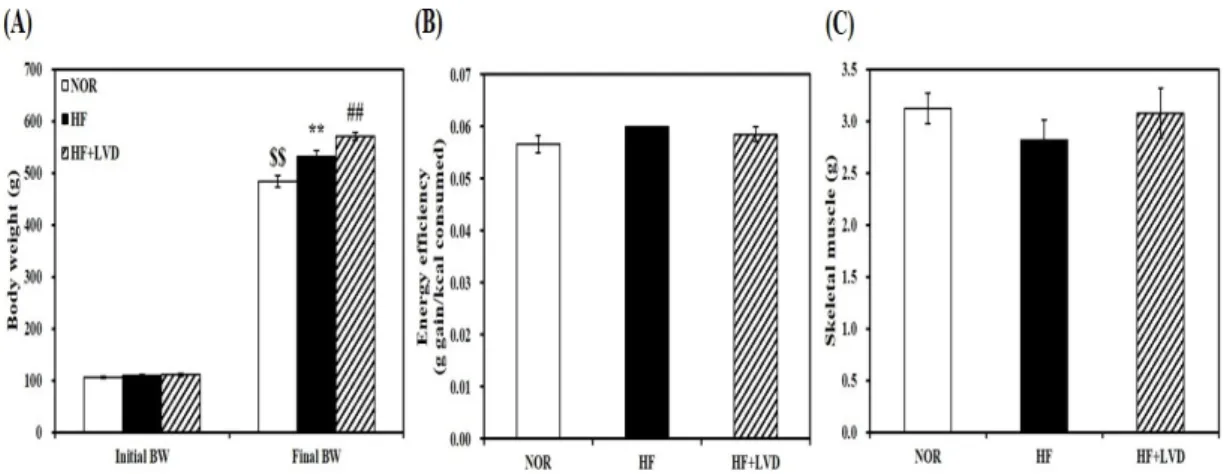 Figure 1. Vitamin D-inadequate diet induces obesity in HF-fed obese rats. Initial and final body  weight (A), energy efficiency (B), and weight of skeletal muscle (C)