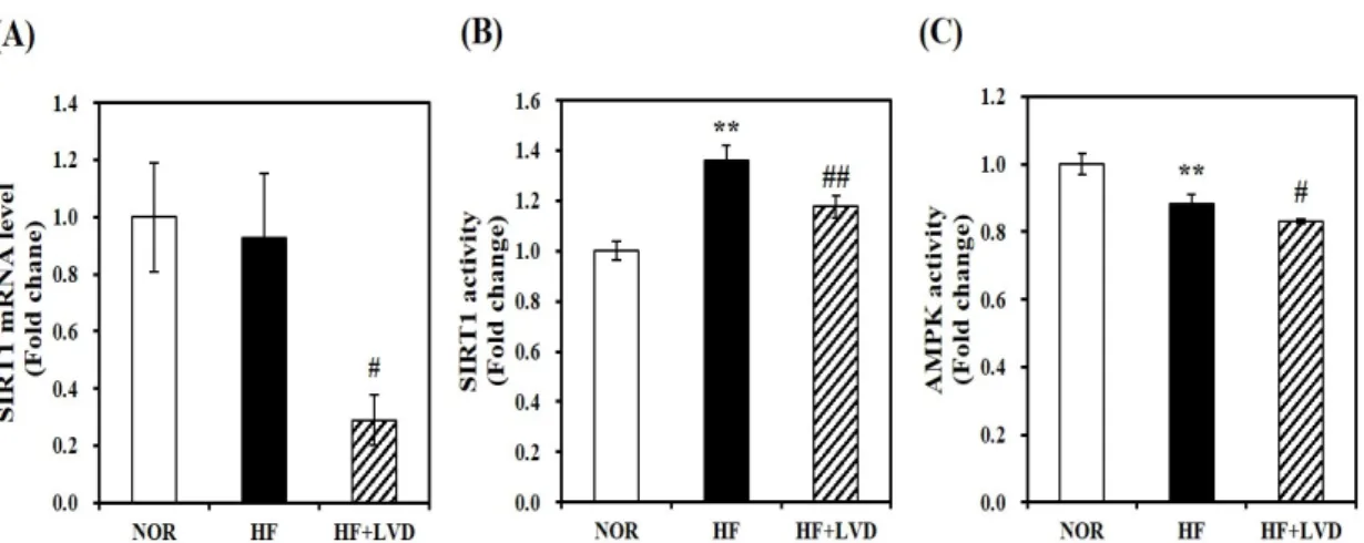 Figure 5. The effect of vitamin D inadequacy on sirtuin 1 (SIRT1) gene expression and adenosine  monophosphate-activated protein kinase (AMPK)/SIRT1 activation in muscle tissues