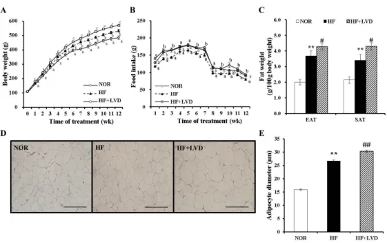 Figure 1. Effects of vitamin D-insufficient diet on body weight gain and fat weight in obese rats