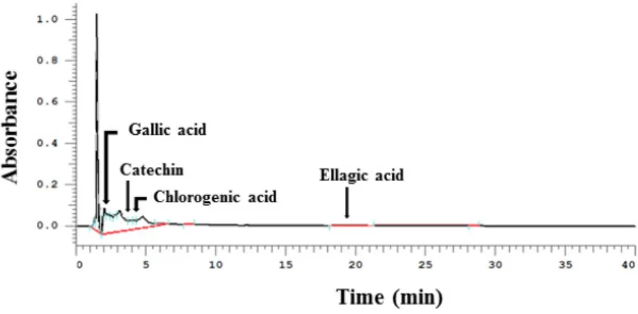 Table  2.  Quantitative  determination  of  HPLC  analysis  on  phenolic  compounds  present  in  phenol 
