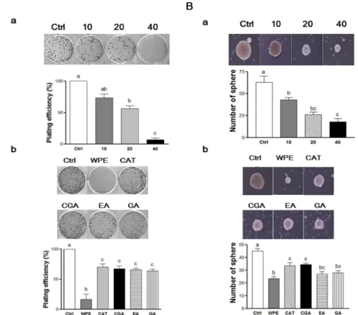 Figure  5.  WPE  and  its  bioactive  compounds  suppress  self‐renewal  capacity  of  colon  CSCs. 