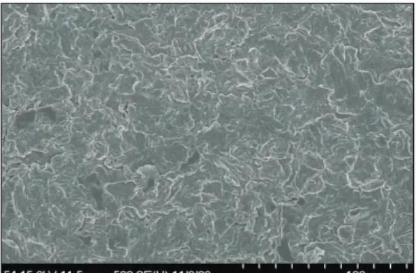 Fig. 24. Artificial plaque surface (×50,000). Fig. 25. Prophyflex group (×50,000).      