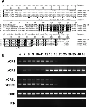 Fig. 1. Comparison of amino acid sequences and temporal expression patterns of Xenopus EGF-CFC factors