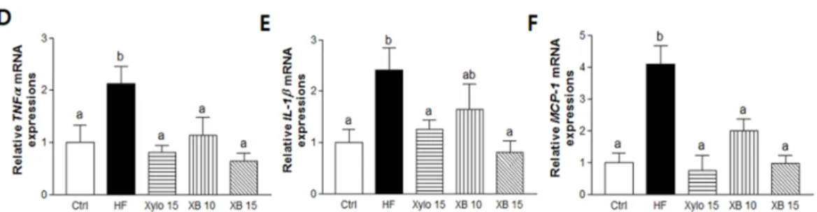 Figure 3. Effects of XB on the expressions of genes related to fatty acid uptake, lipolysis, and  