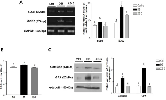 Figure 6. Hepatic oxidative stress-related enzymes. (A) Hepatic mRNA levels of SOD1 (sod1) and SOD2 (sod2) were evaluated using RT PCR