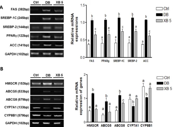 Figure 5. Changes in hepatic lipogenesis and cholesterol homeostasis genes. (A) Lipogenesis-related genes, including FAS (Fasn), PPARγ (Pparg), SREBP-1C (Srebf1), SREBP-2 (Srebf2), and ACC (Acaca) mRNA expressions were analyzed in liver tissues; (B) choles