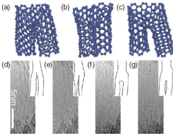FIG. 2 (color online). Dynamics of partly merged nanotubes. (a) –(c) Snapshots of nanotube pants structures, obtained  dur-ing a molecular dynamics simulation at T  1200 K,  illus-trating the excitation of soft vibration modes resembling a walking motion