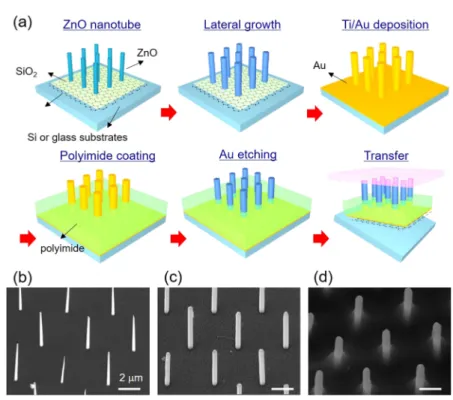FIG. 1. Fabrication process for ZnO nanotube waveguide arrays. (a) Schematic illustrations of the fabrication of ZnO nanotube waveguide arrays on graphene films