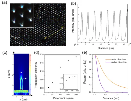 FIG. 2. Light transmission through ZnO nanotube waveguide arrays. (a) An optical microscope image of light transmitted through metal-deposited nanotube arrays in a hexagonal pattern
