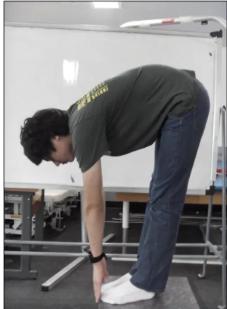 그림  1.  Standing  trunk  flexion