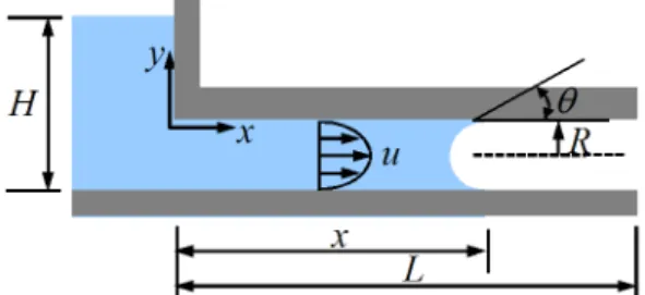 Fig. 1 Geometry of a capillary tube with a inlet well 지금까지 모세관 언더필 공정에 대한 많은 연구들이 진행되었으며(4-11) , 그 중 대부분이 마이크로 갭에서의 언더필 수지에 따라 침투되는 시간을 예측하고자 하는 연구들이다