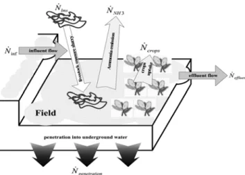 Fig. 1. Nitrogen balance in the field (Moon et al. 2006).
