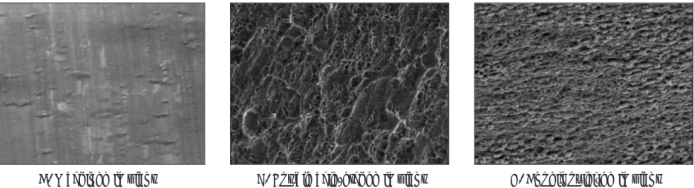 Fig. 3. Scanning electron micrographs of 3 different implant types. (Original magnification × 2000) A; Several foci of scratch were seen.