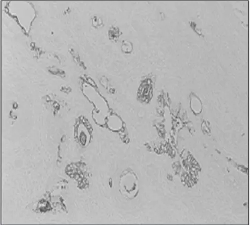 Fig. 9 Fig. 10
